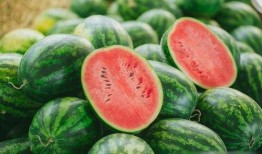 在公司吃的瓜,揭秘公司内部那些不为人知的秘密