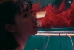 吃瓜的女人们,女性视角下的娱乐圈风云