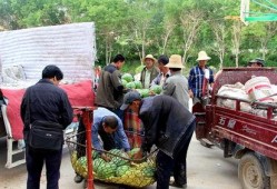 刘家庄吃瓜群众,揭秘乡村生活百态