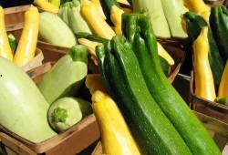 带你吃瓜广东深圳,带你吃遍粤式瓜果盛宴