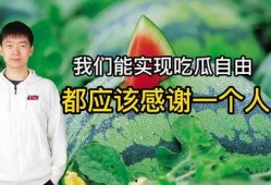 感恩大家吃瓜,共享欢乐时光