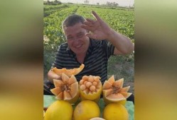 抖音吃瓜新疆,抖音吃瓜背后的风味传奇