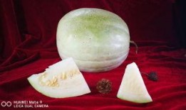 秋天吃三白瓜,三白瓜的清新滋味，解锁秋季养生新篇章