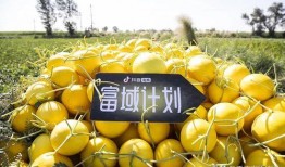 抖音吃瓜新疆,抖音吃瓜背后的风味传奇