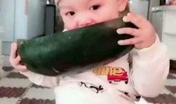 吃瓜视频大全儿童,趣味横生的童年娱乐盛宴