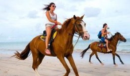 奶龙吃瓜骑马,探寻奇幻世界的悠闲生活