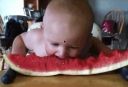 宝宝吃瓜可爱合集,宝宝吃瓜可爱瞬间大盘点