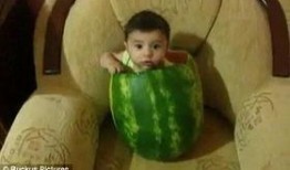 吃瓜视频大全儿童,趣味横生的童年娱乐盛宴